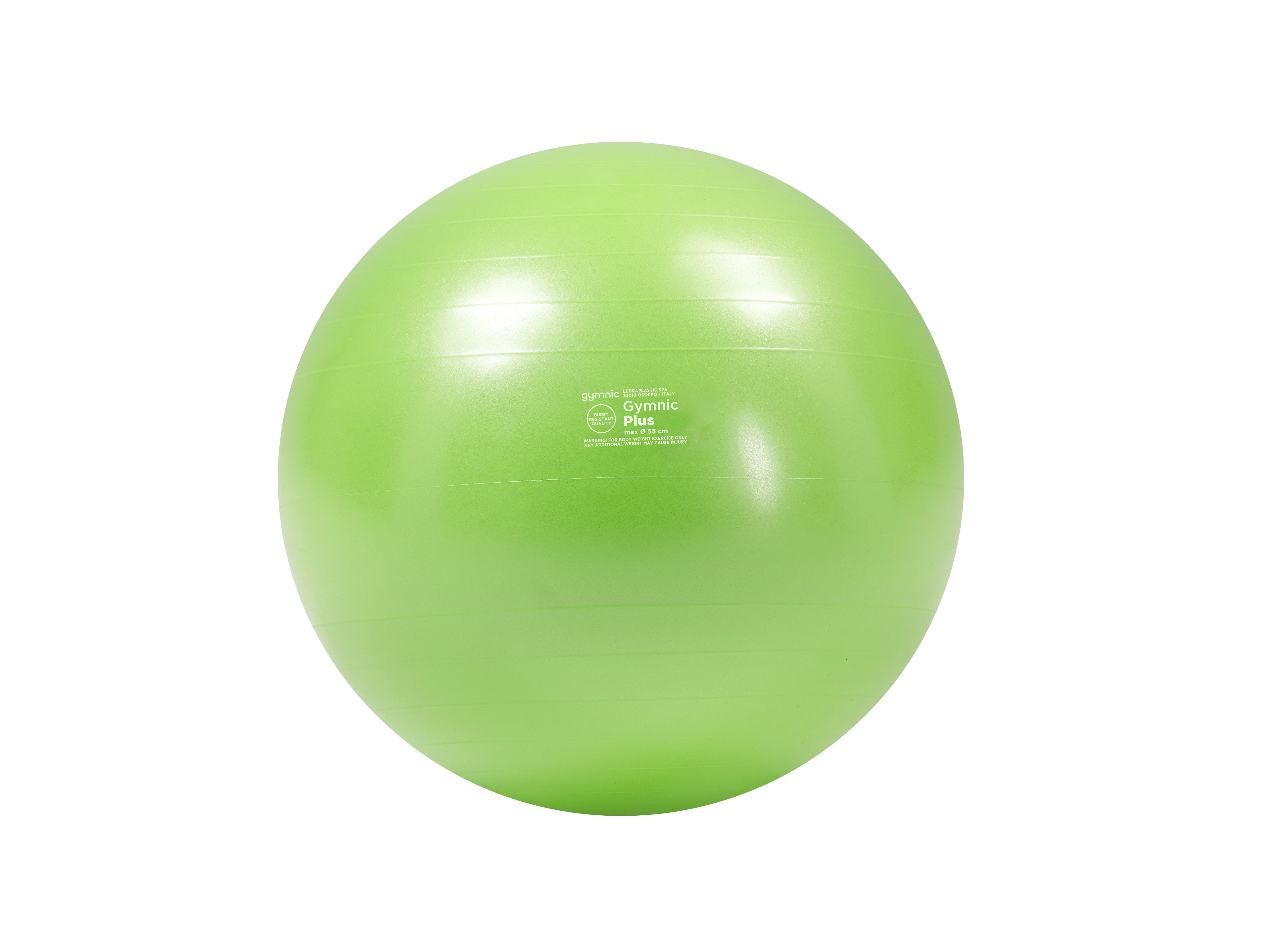 Gymnic Plus BRQ Physiotherapy Balls