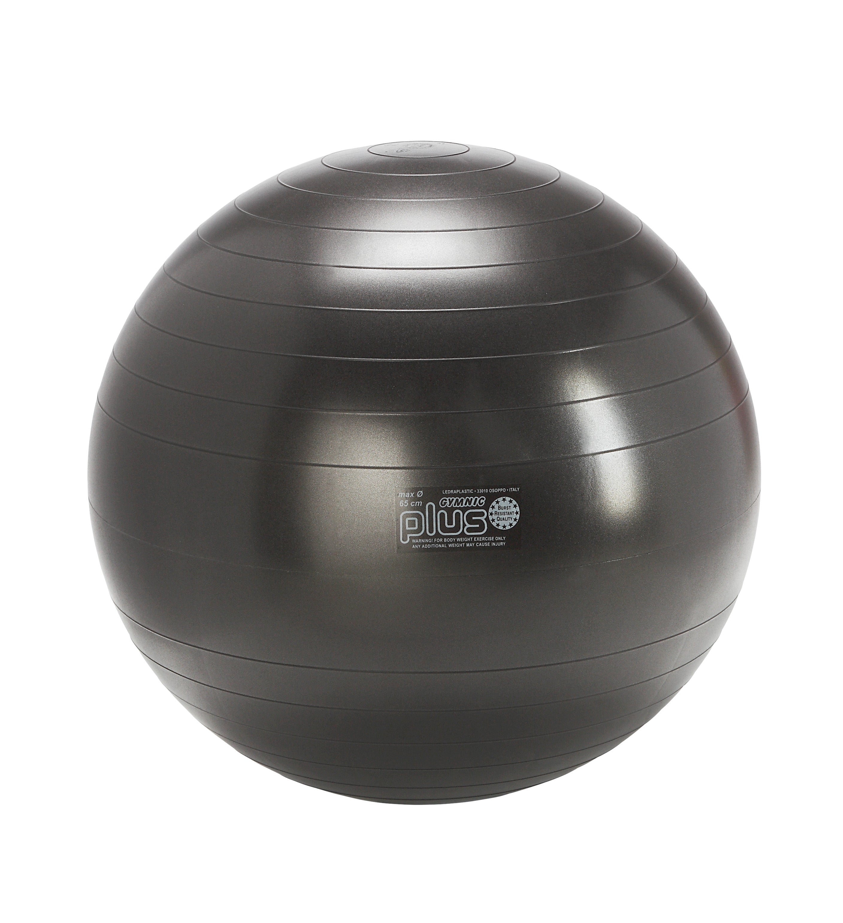 Gymnic Plus BRQ Physiotherapy Balls