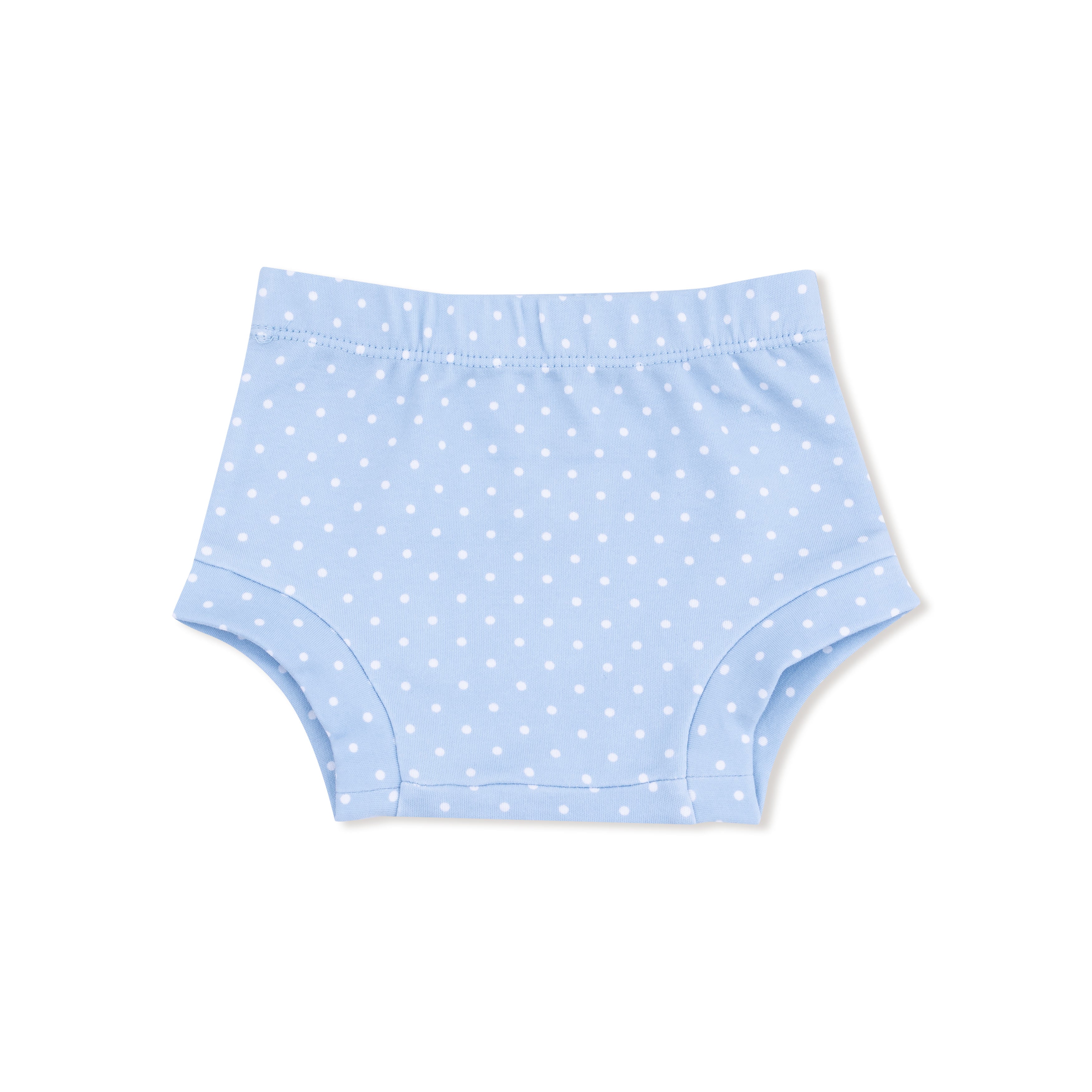 Duck Family Long Sleeve Dress With Diaper Cover