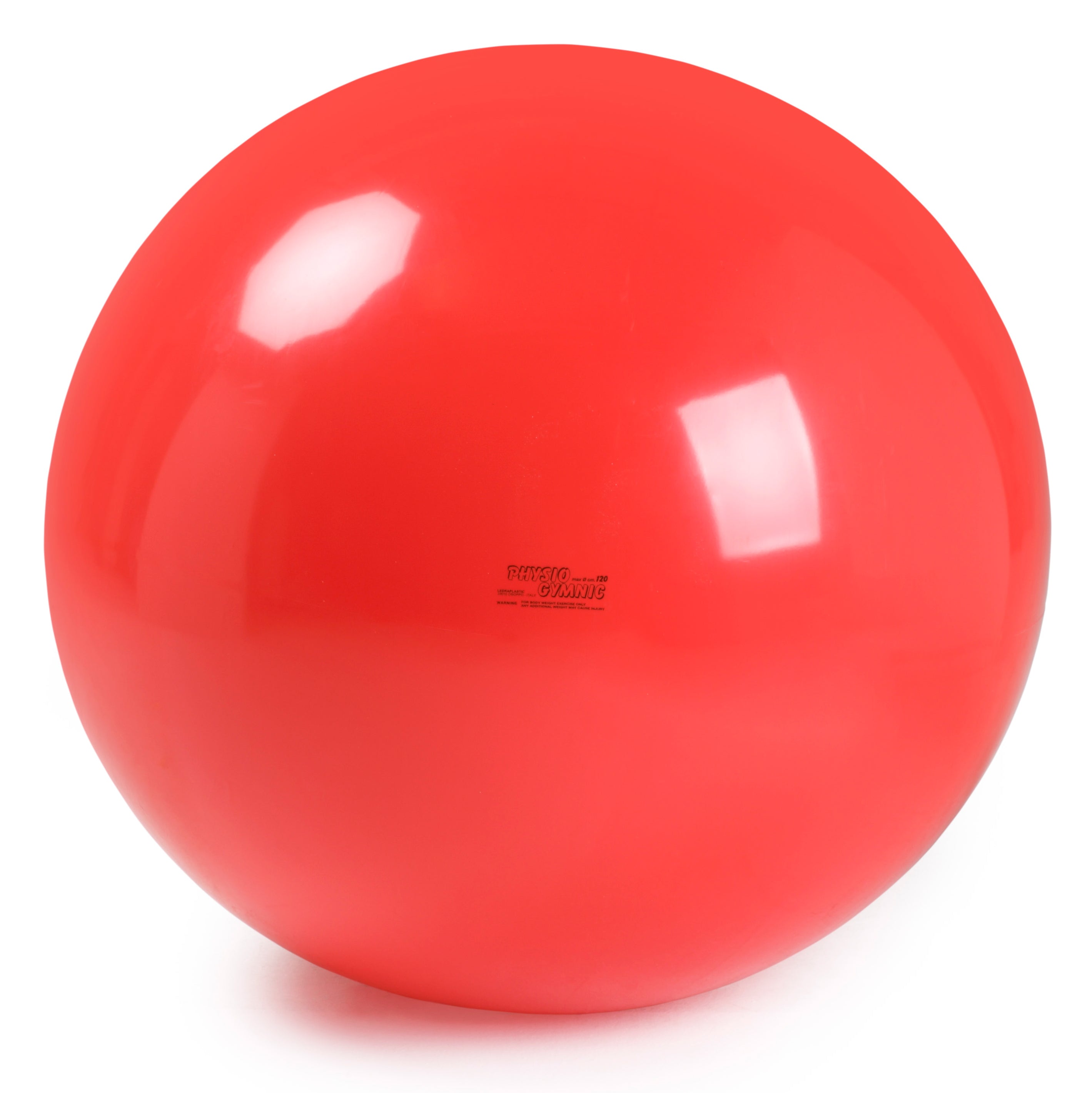 Physio Gymnic Balls