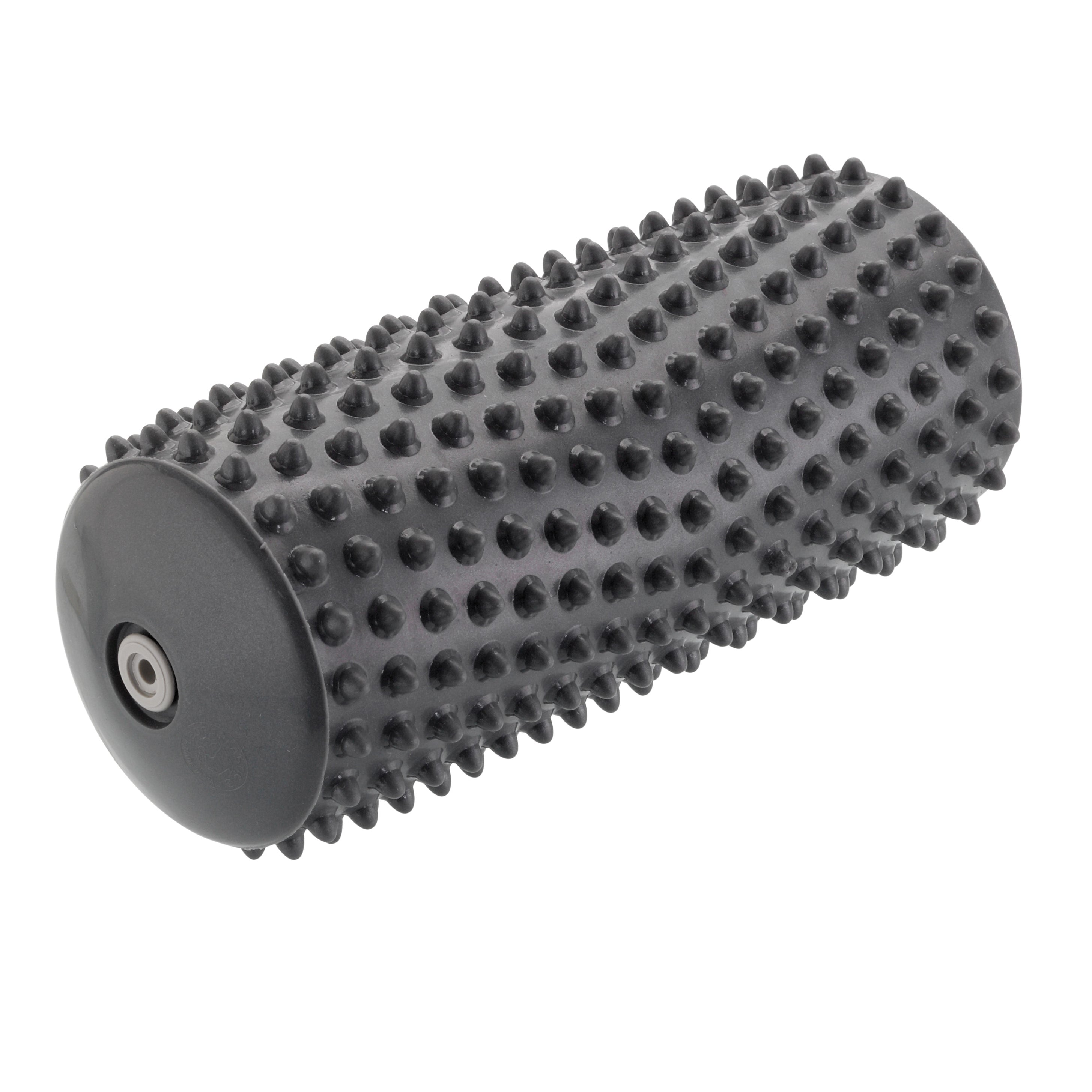 Gymnic Activ Roll