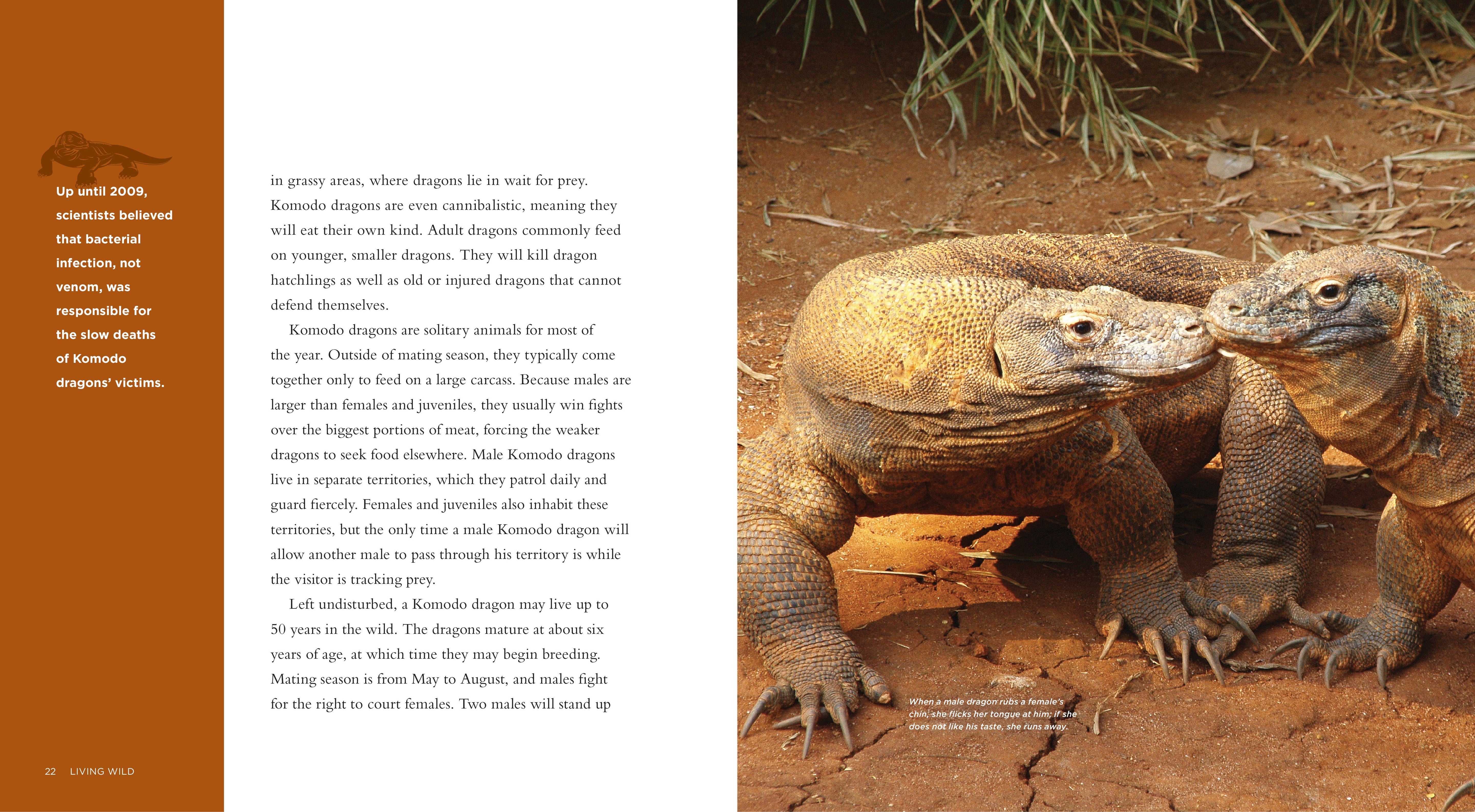 Living Wild - Classic Edition: Komodo Dragons by The Creative Company