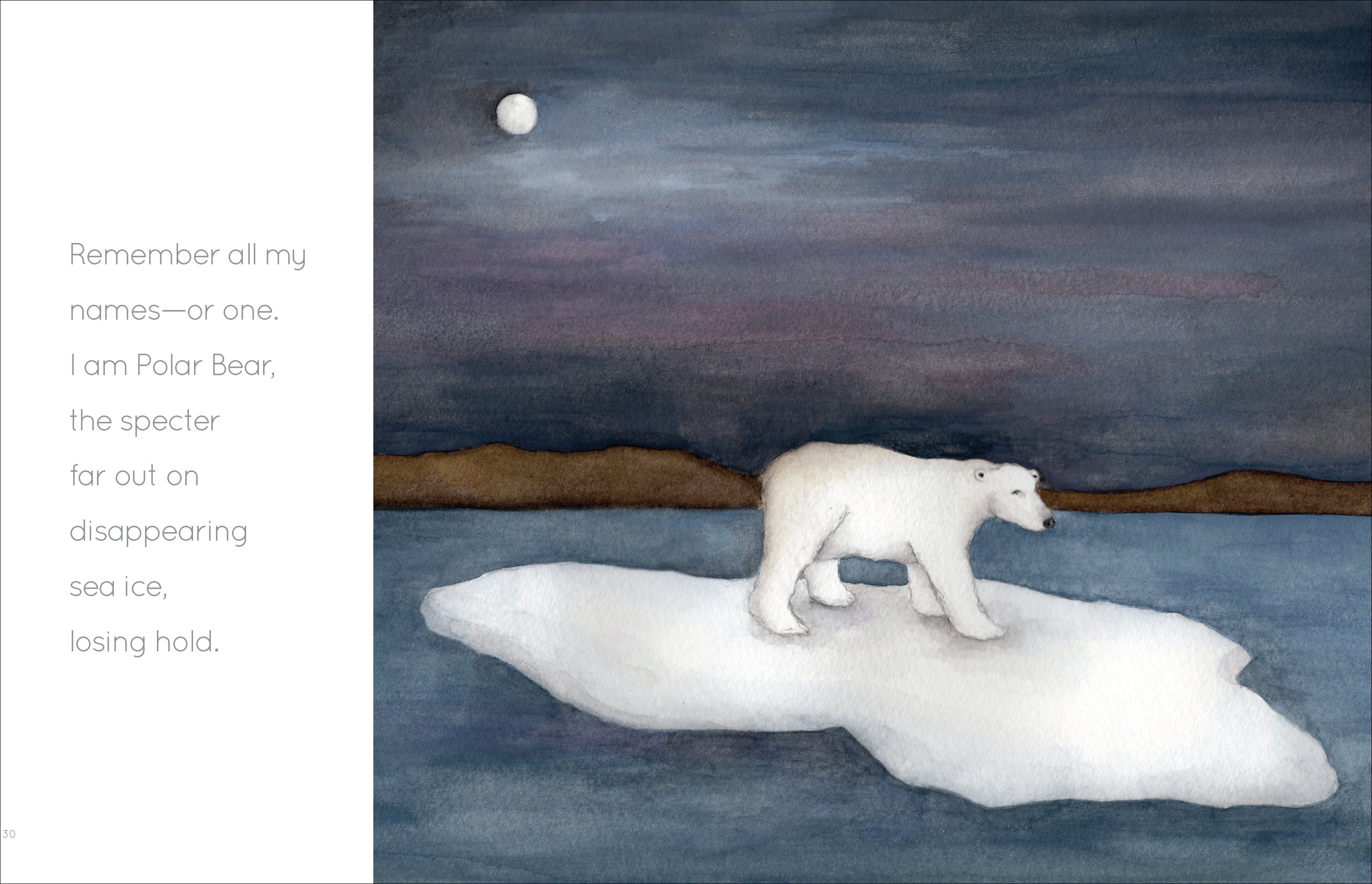 I Am Polar Bear by The Creative Company