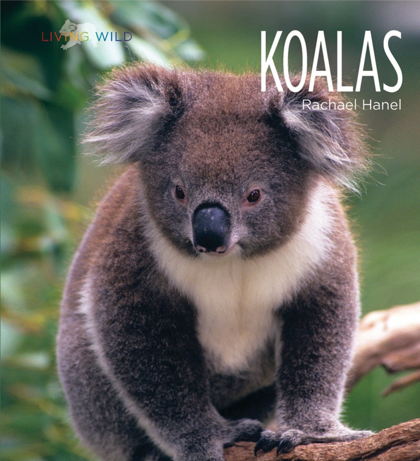 Living Wild - Classic Edition: Koalas by The Creative Company