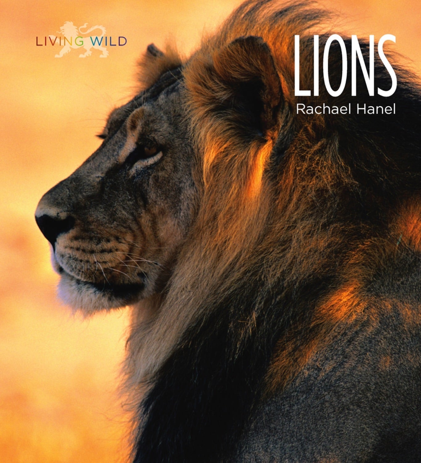 Living Wild - Classic Edition: Lions by The Creative Company