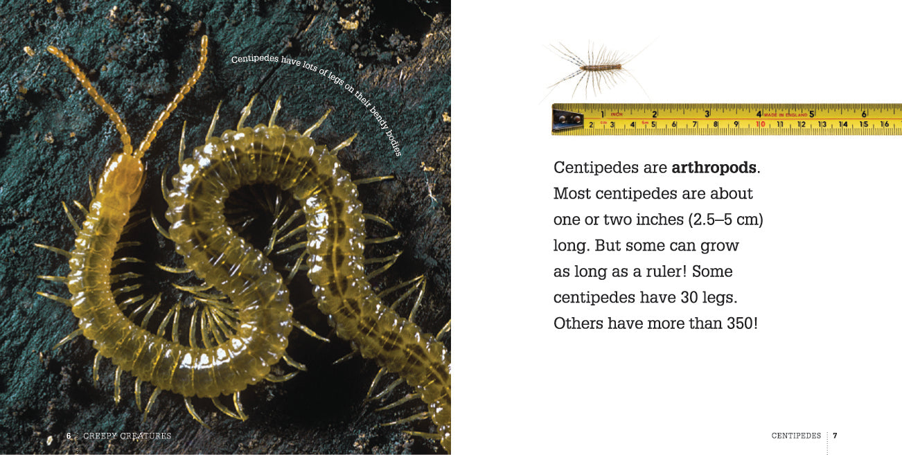 Creepy Creatures: Centipedes by The Creative Company