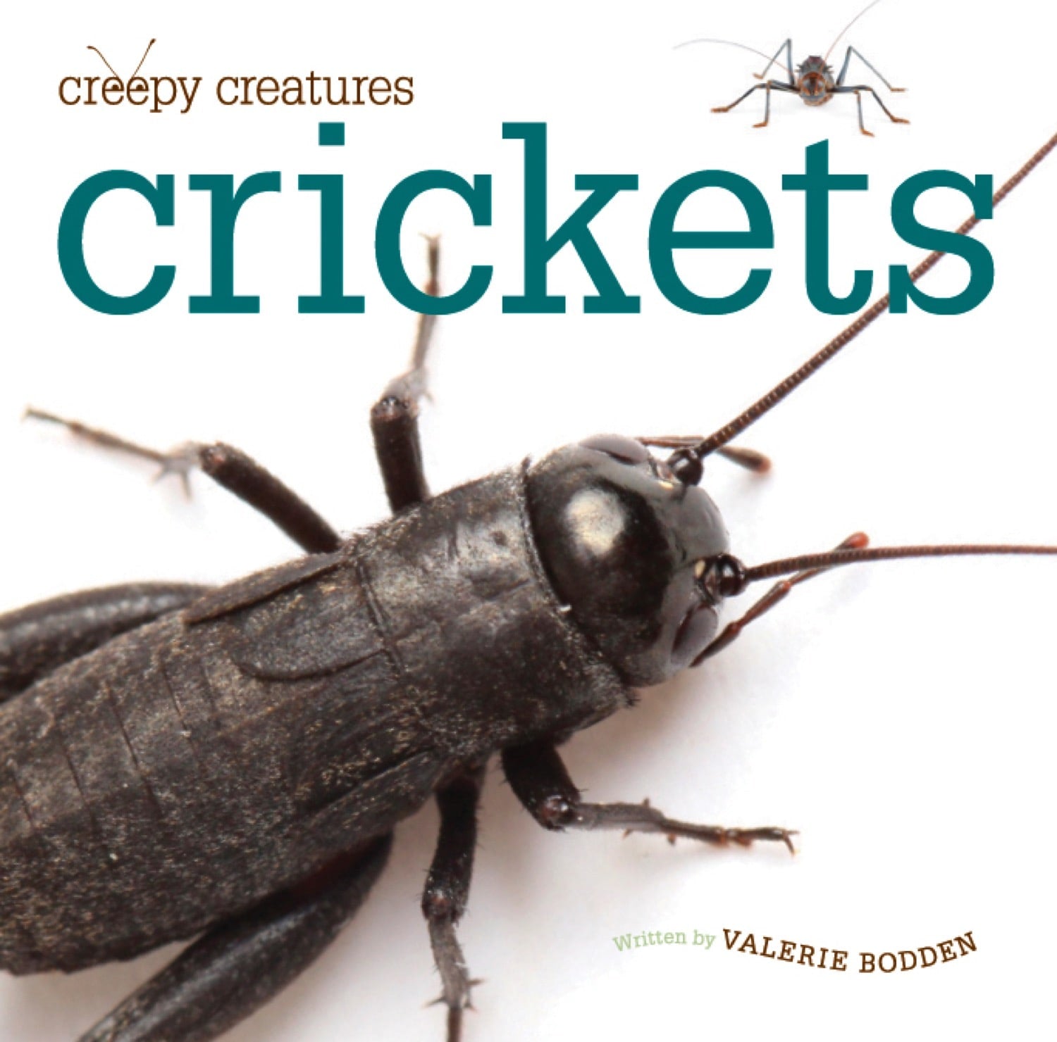 Creepy Creatures: Crickets by The Creative Company