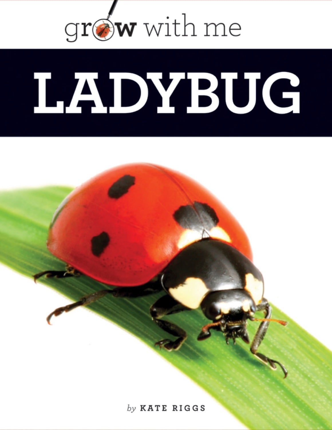 Grow with Me: Ladybug by The Creative Company