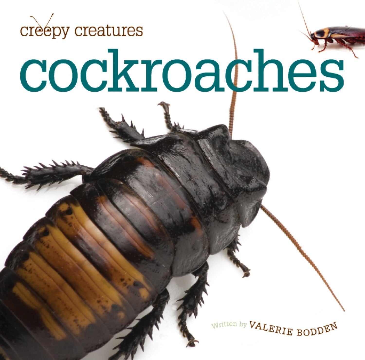 Creepy Creatures: Cockroaches by The Creative Company