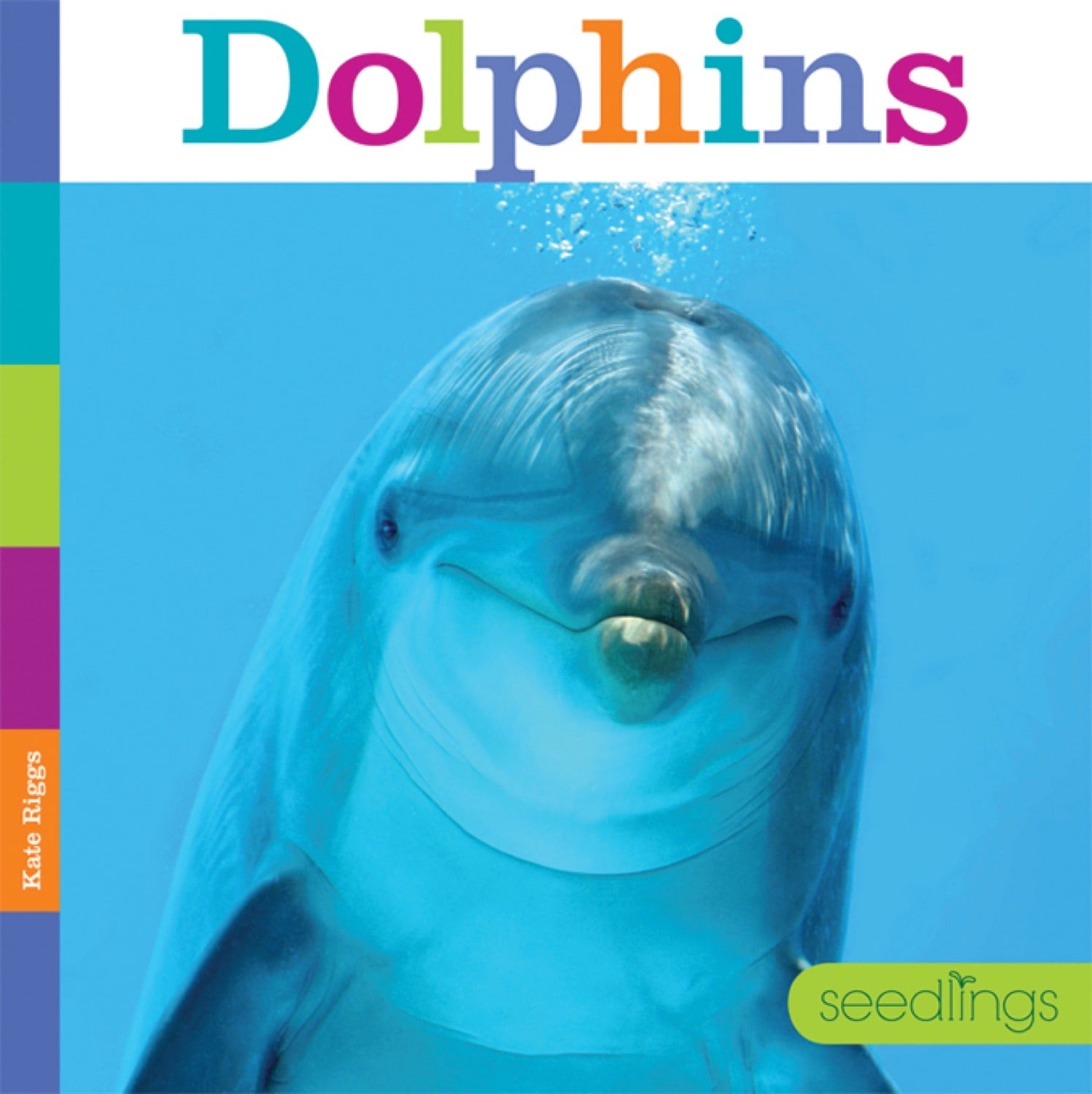 Seedlings: Dolphins by The Creative Company