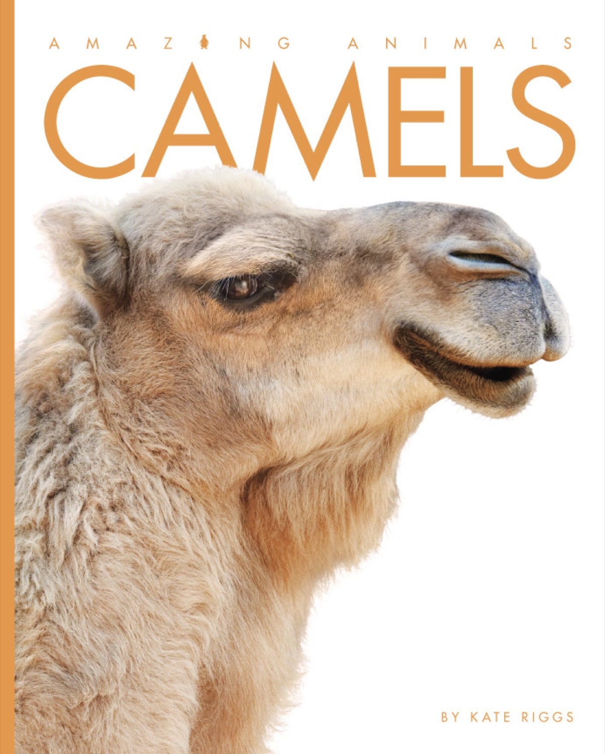 Amazing Animals (2014): Camels by The Creative Company