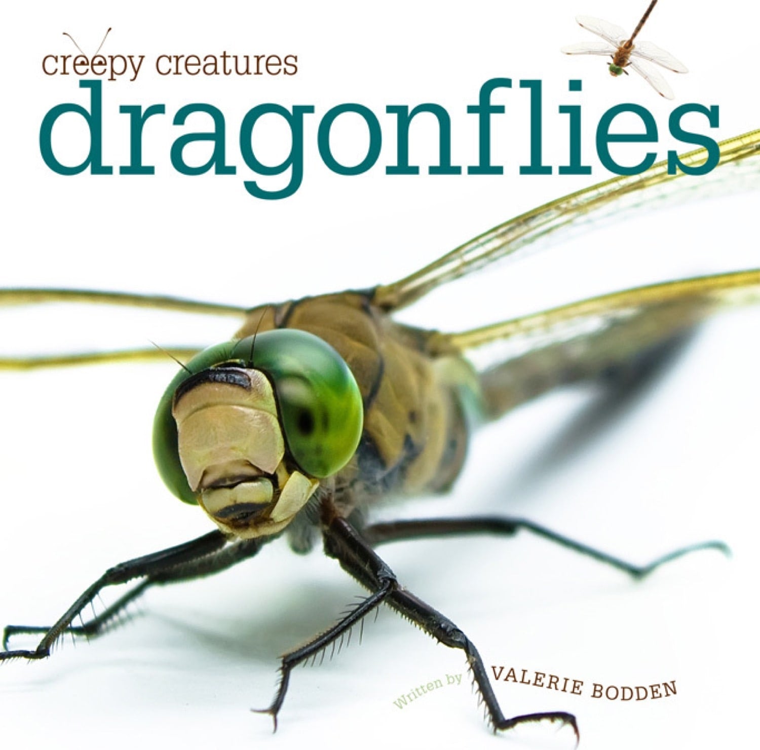 Creepy Creatures: Dragonflies by The Creative Company