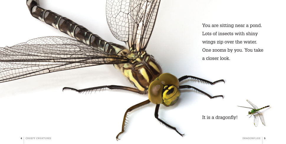 Creepy Creatures: Dragonflies by The Creative Company