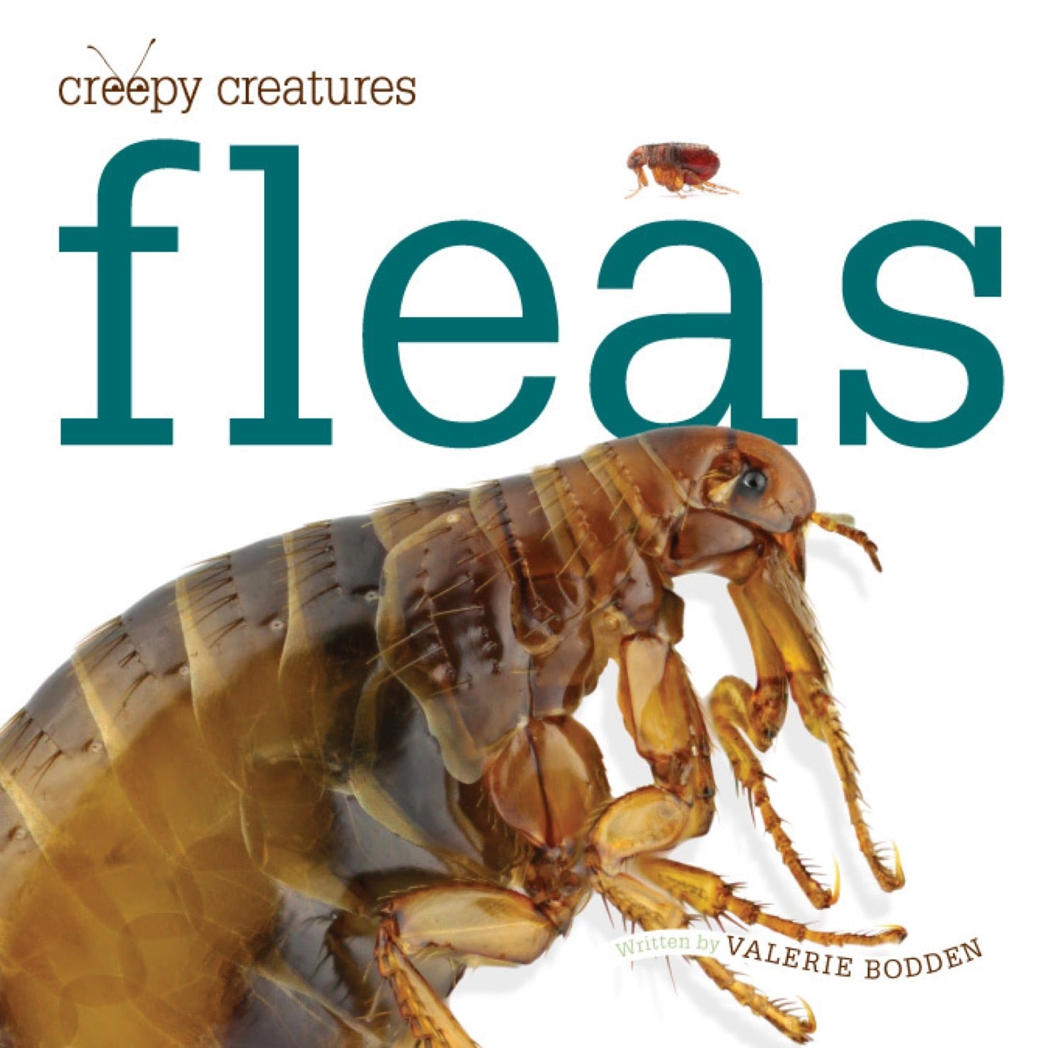 Creepy Creatures: Fleas by The Creative Company