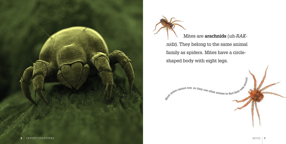 Creepy Creatures: Mites by The Creative Company