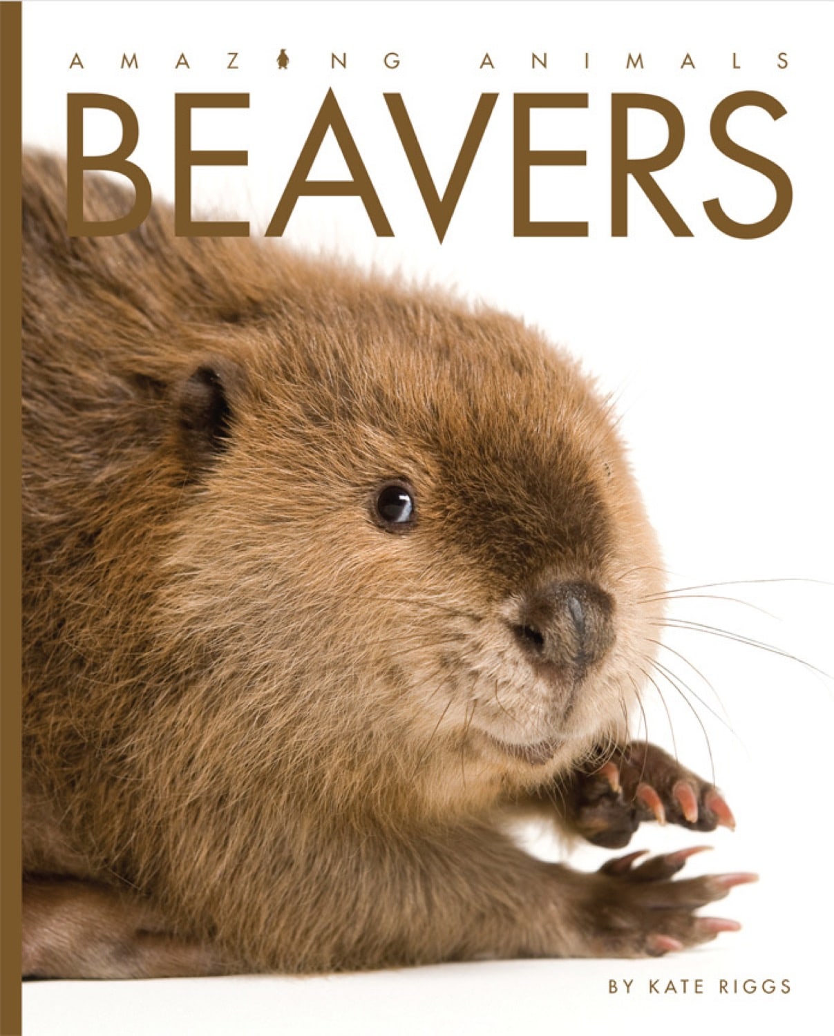 Amazing Animals (2014): Beavers by The Creative Company