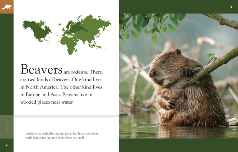 Amazing Animals (2014): Beavers by The Creative Company