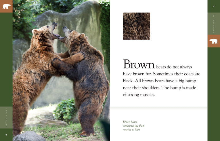 Amazing Animals (2014): Brown Bears by The Creative Company