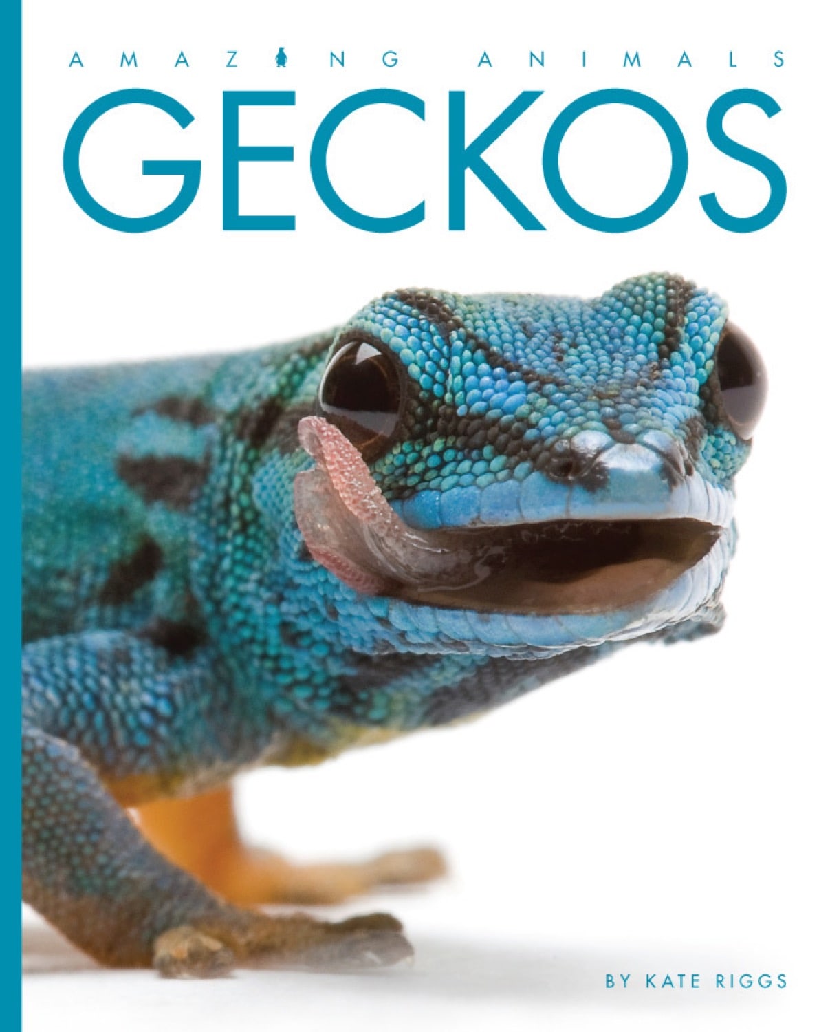 Amazing Animals (2014): Geckos by The Creative Company