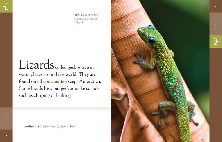 Amazing Animals (2014): Geckos by The Creative Company