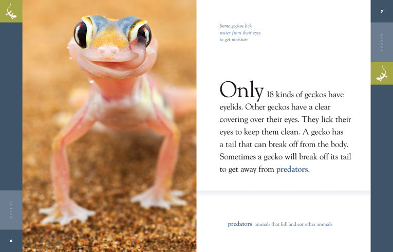 Amazing Animals (2014): Geckos by The Creative Company