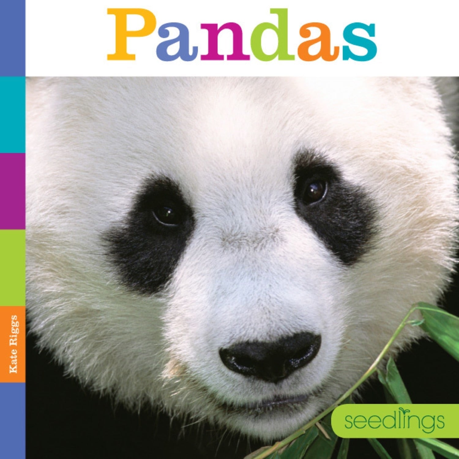 Seedlings: Pandas by The Creative Company