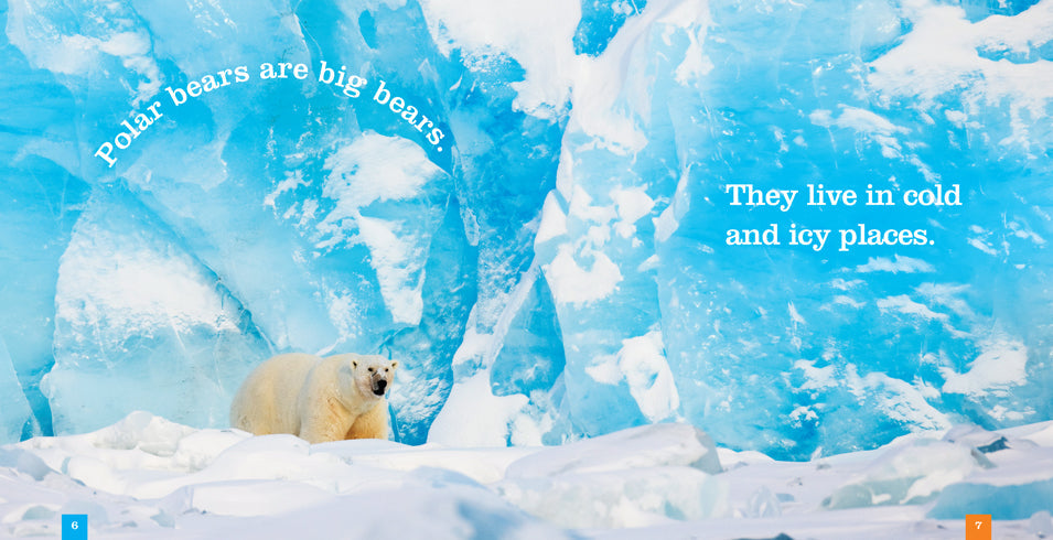 Seedlings: Polar Bears by The Creative Company