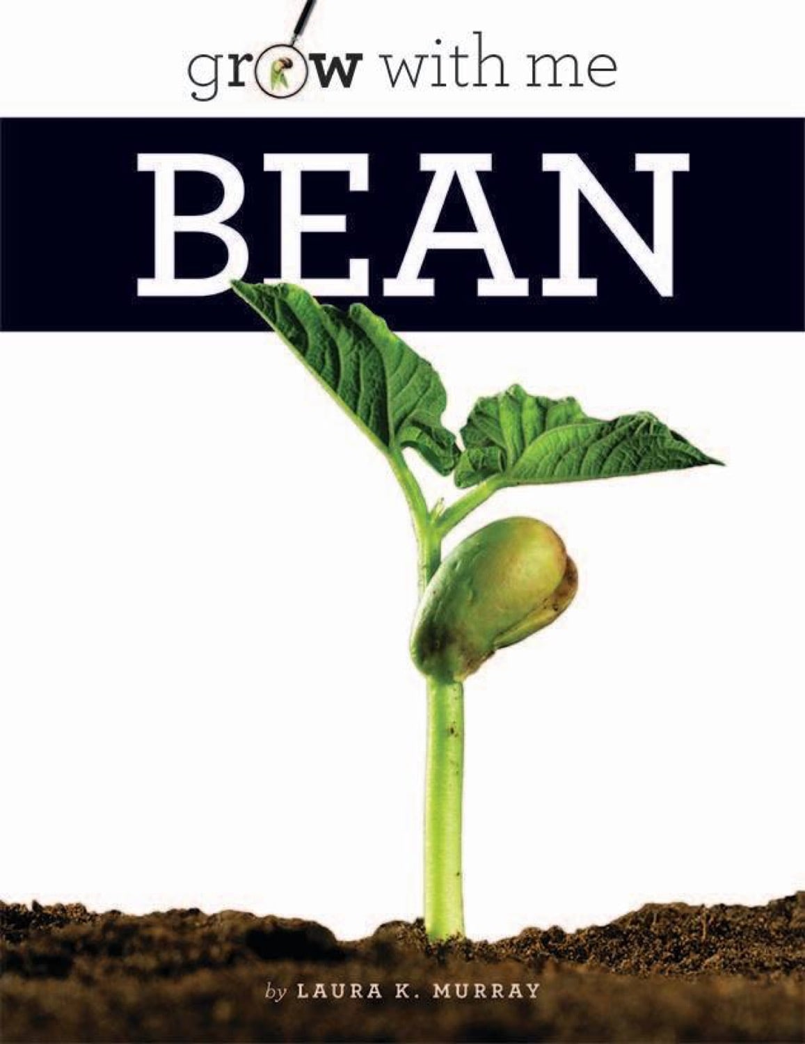 Grow with Me: Bean by The Creative Company