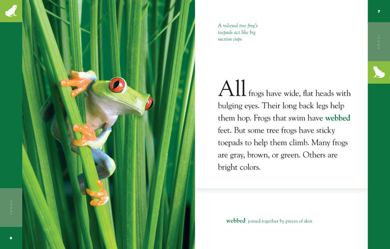 Amazing Animals (2014): Frogs by The Creative Company