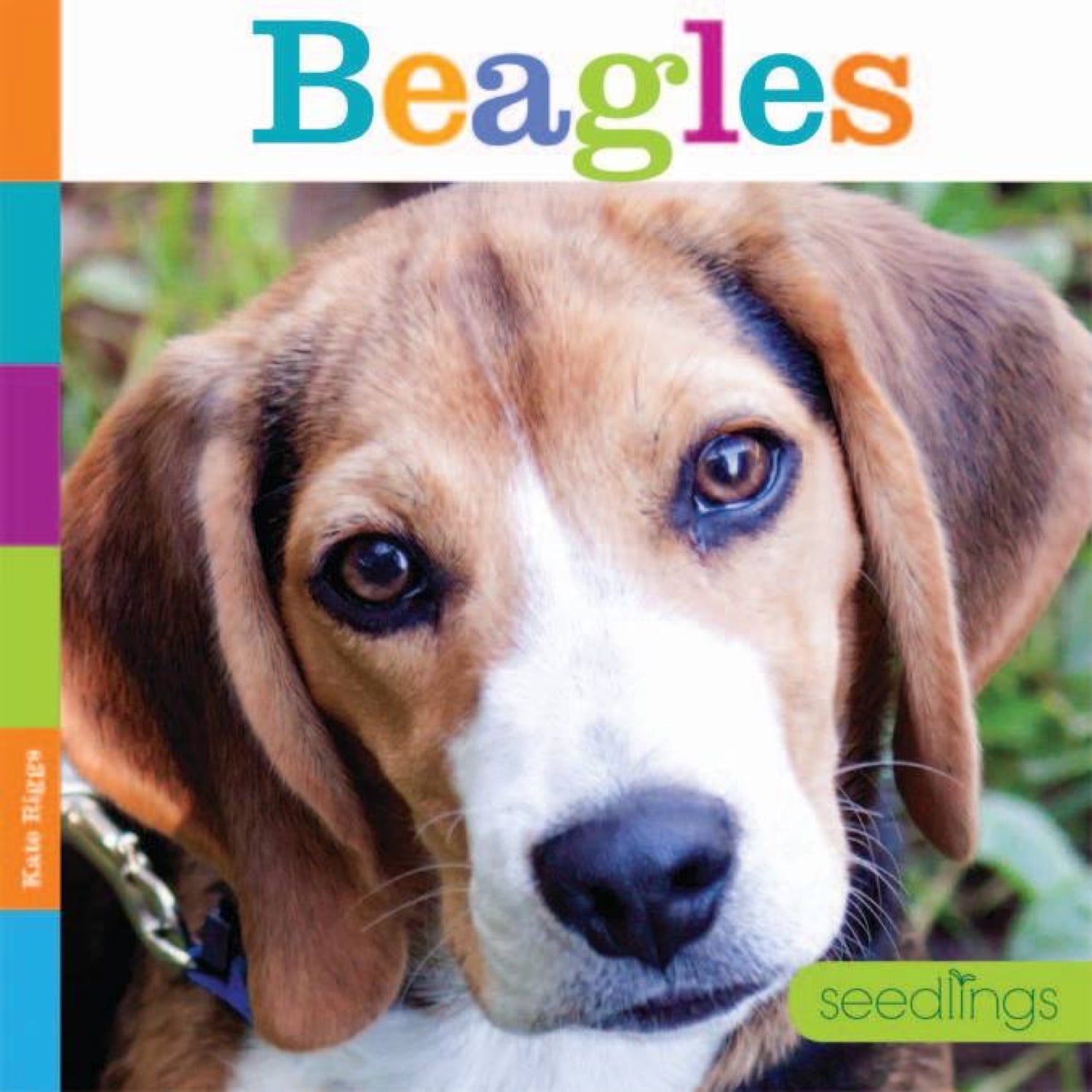 Seedlings: Beagles by The Creative Company