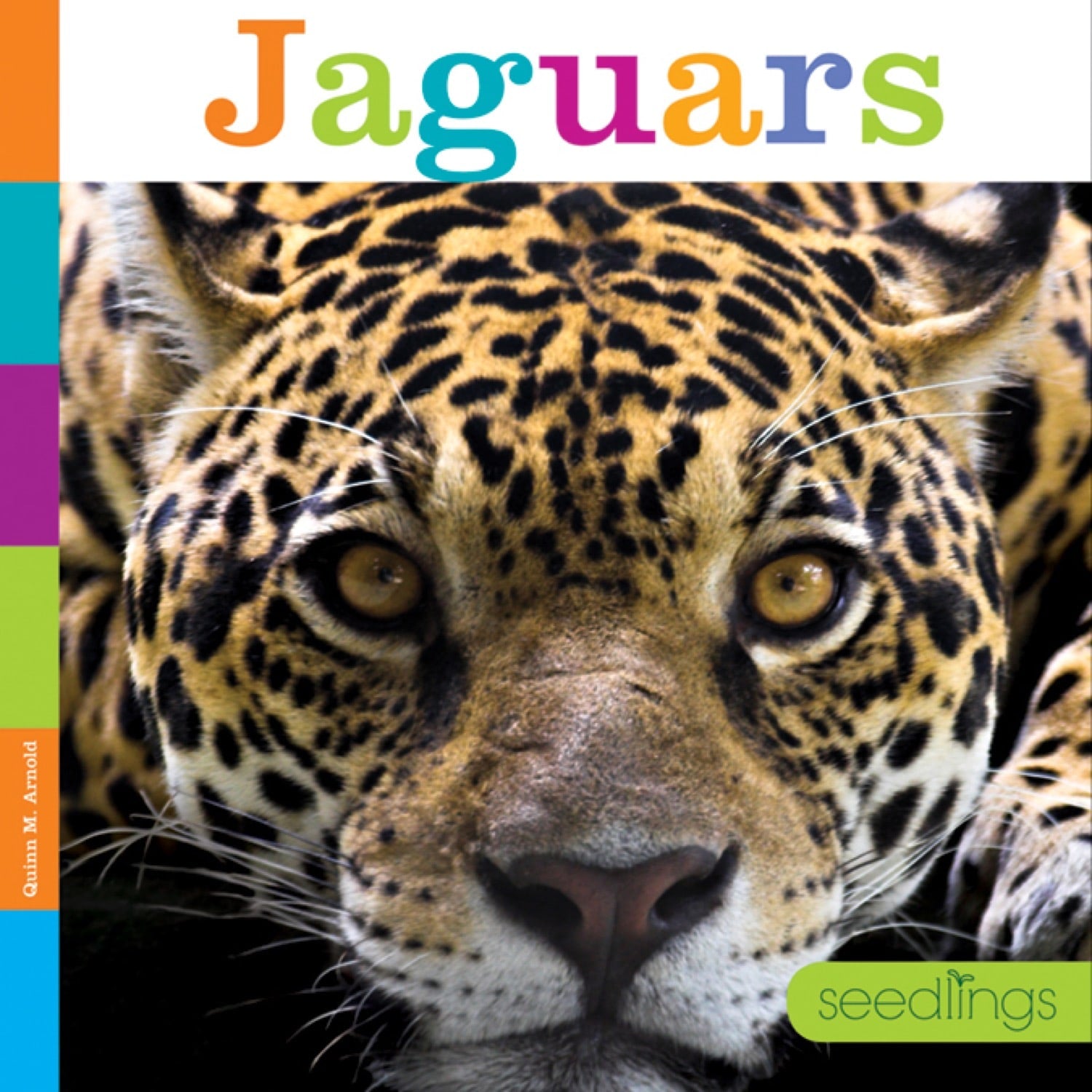 Seedlings: Jaguars by The Creative Company