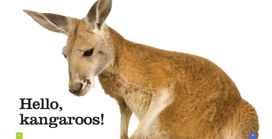 Seedlings: Kangaroos by The Creative Company