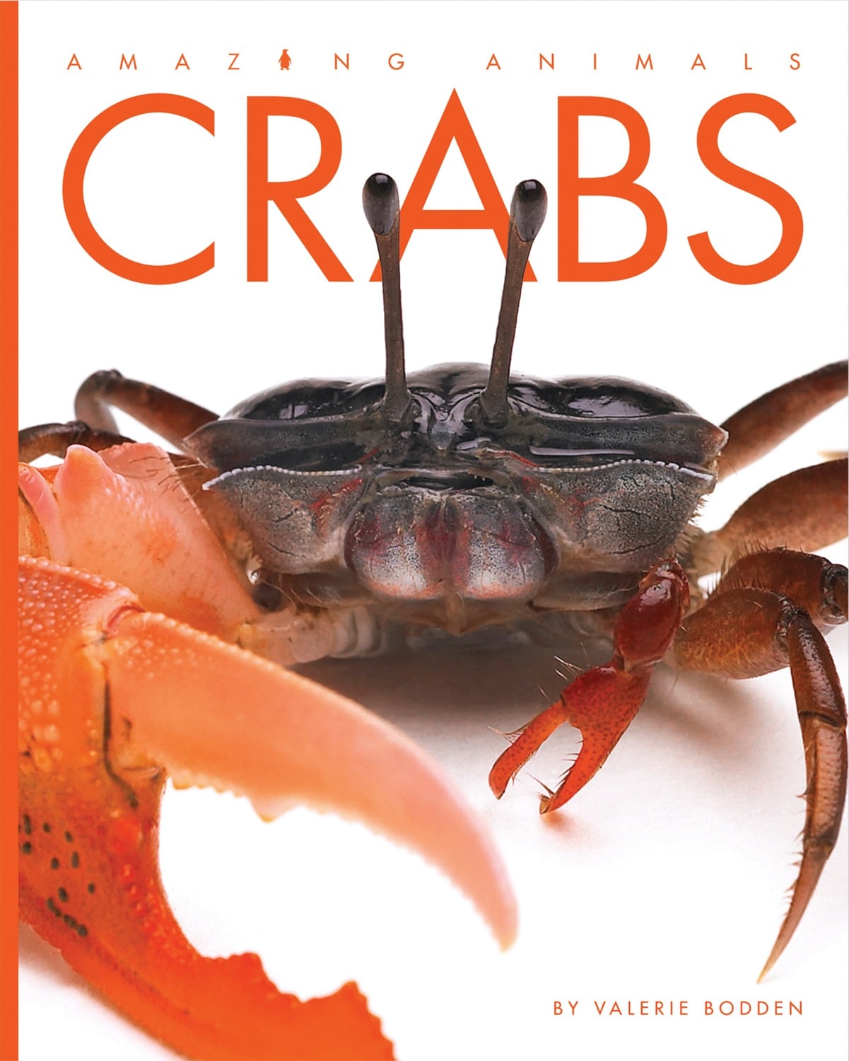 Amazing Animals (2014): Crabs by The Creative Company