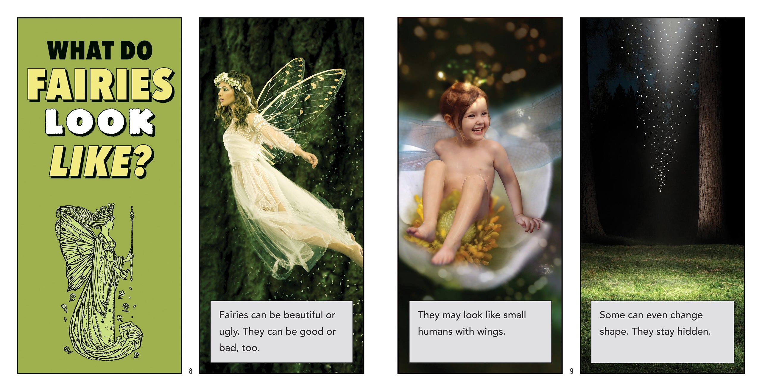 Are They Real?: Fairies by The Creative Company