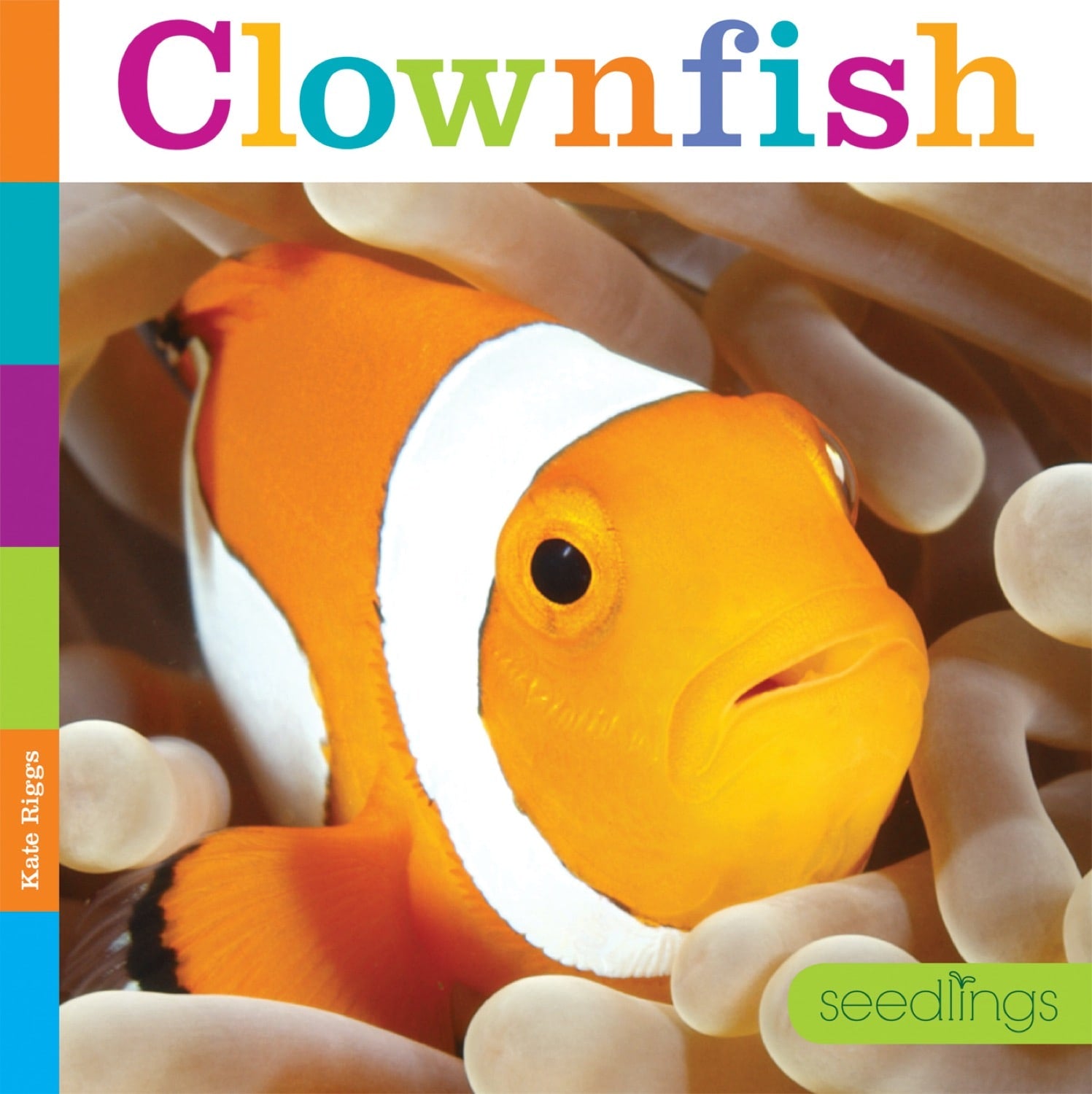 Seedlings: Clownfish by The Creative Company