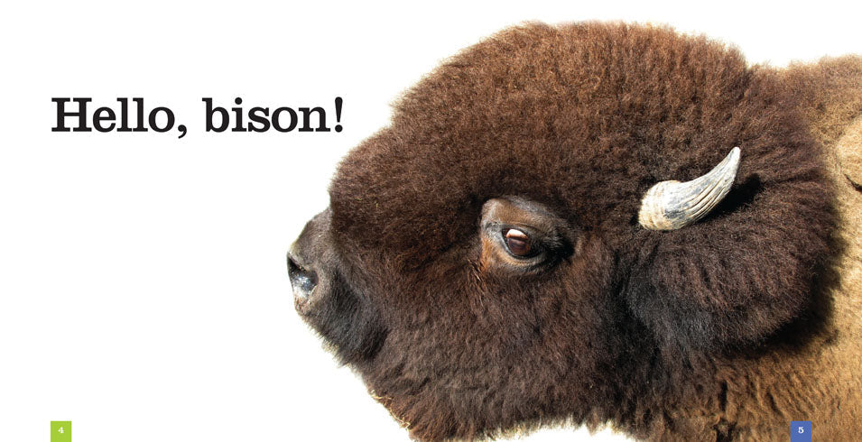 Seedlings: Bison by The Creative Company