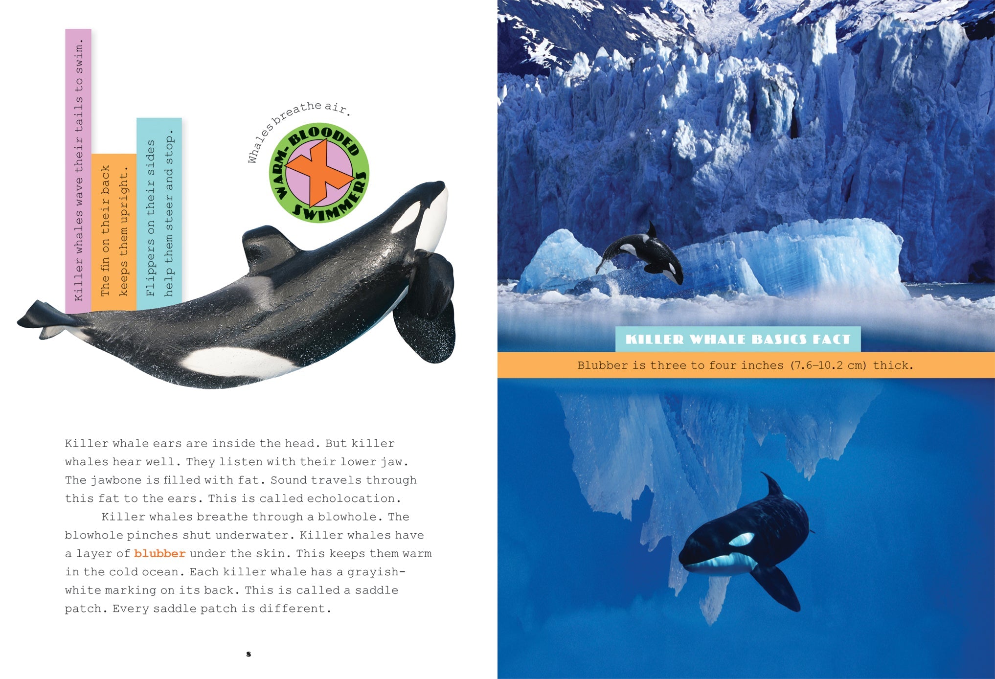 X-Books: Predators: Killer Whales by The Creative Company