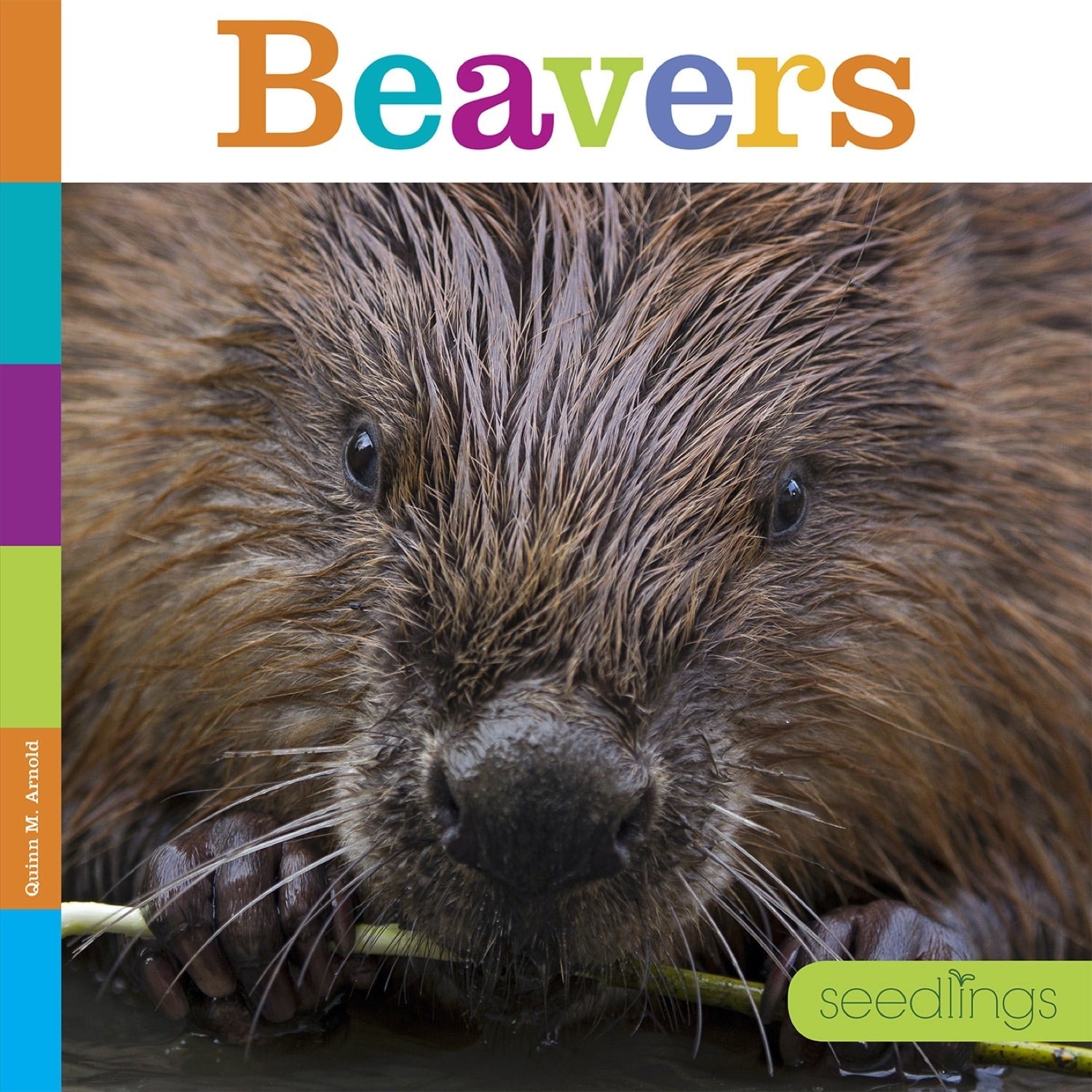 Seedlings: Beavers by The Creative Company