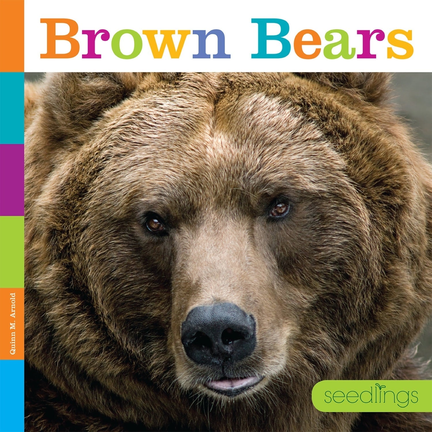 Seedlings: Brown Bears by The Creative Company