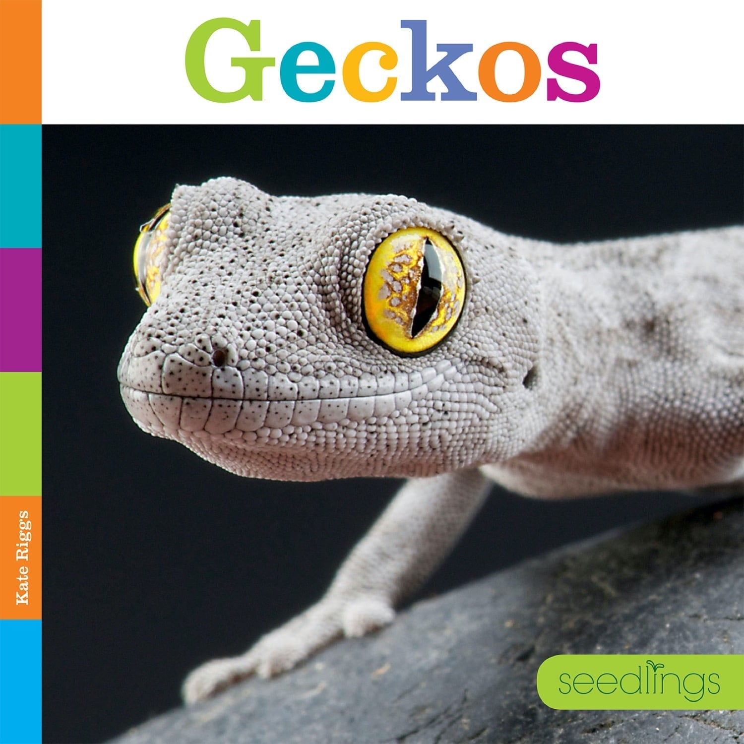 Seedlings: Geckos by The Creative Company