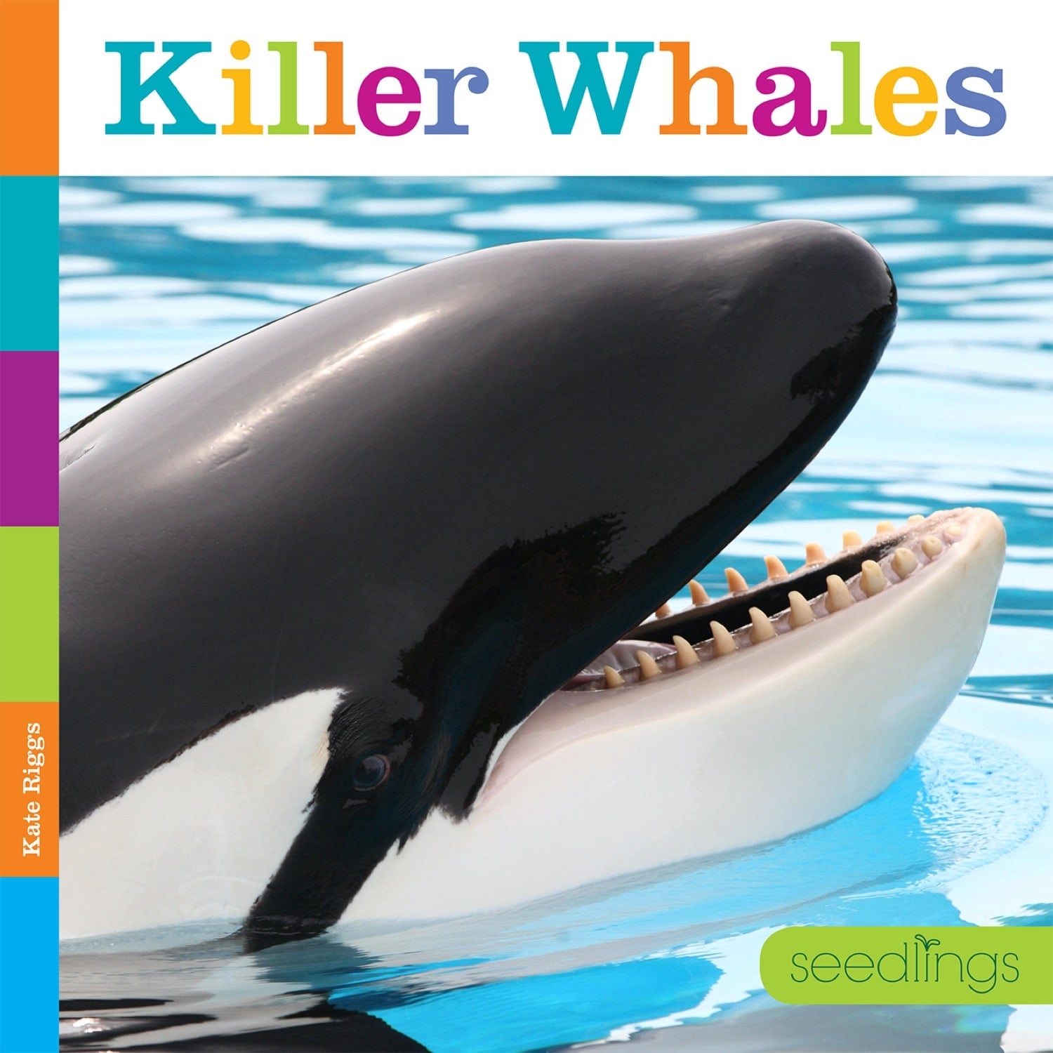 Seedlings: Killer Whales by The Creative Company