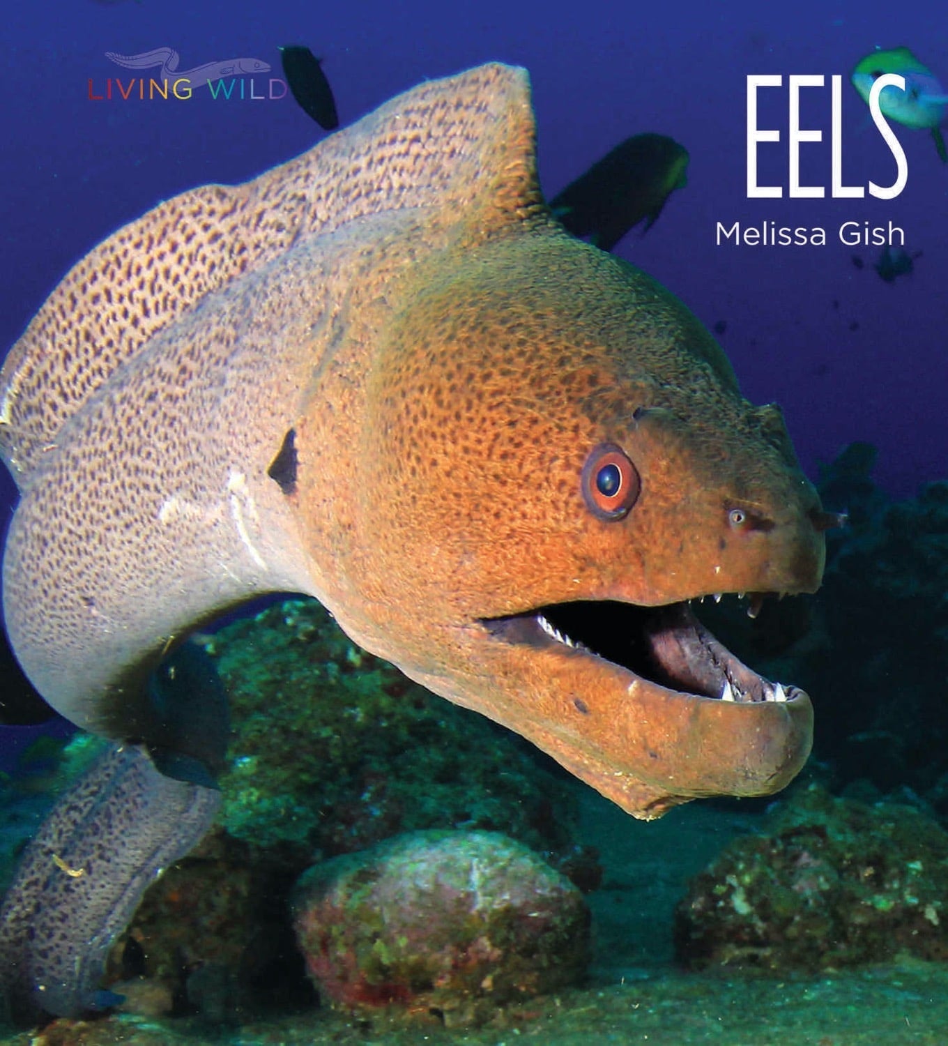 Living Wild - Classic Edition: Eels by The Creative Company