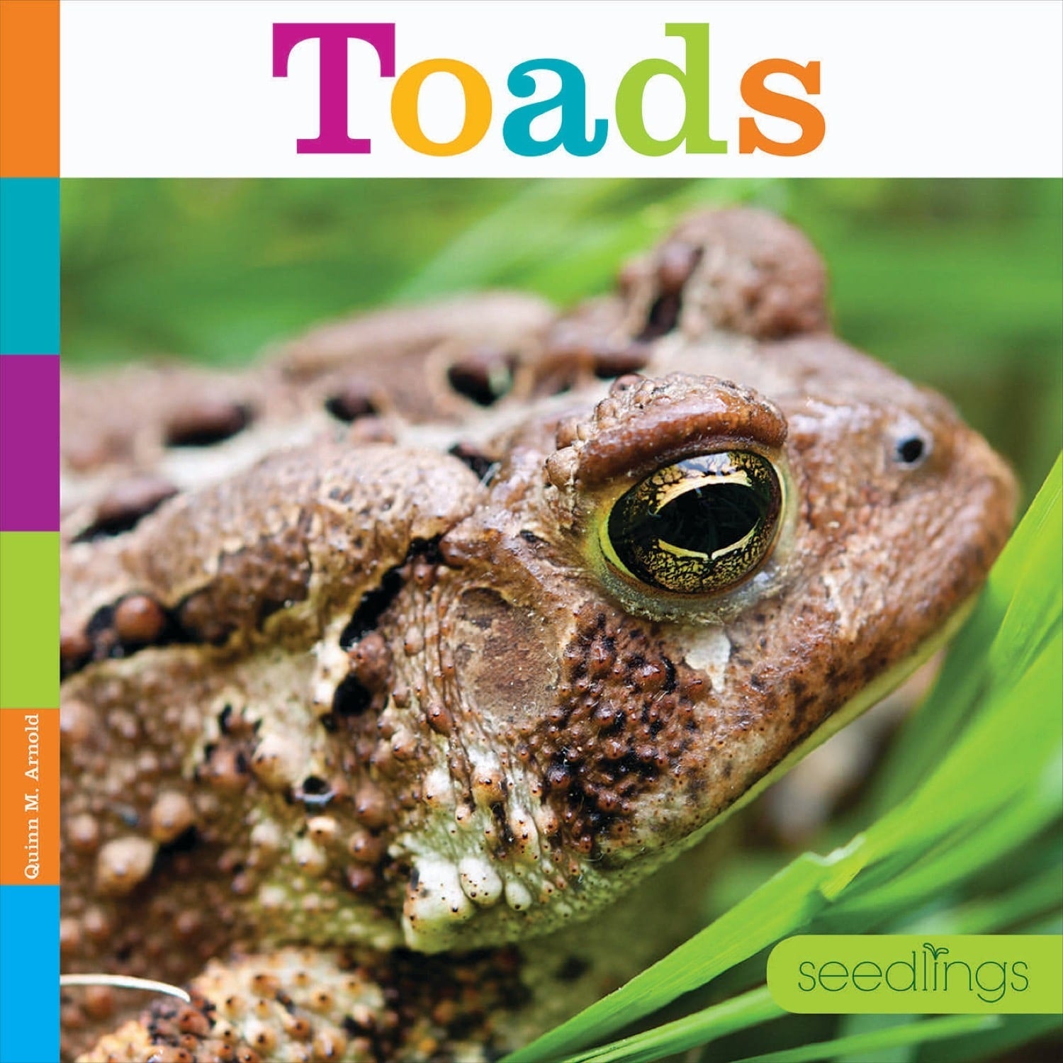 Seedlings: Toads by The Creative Company