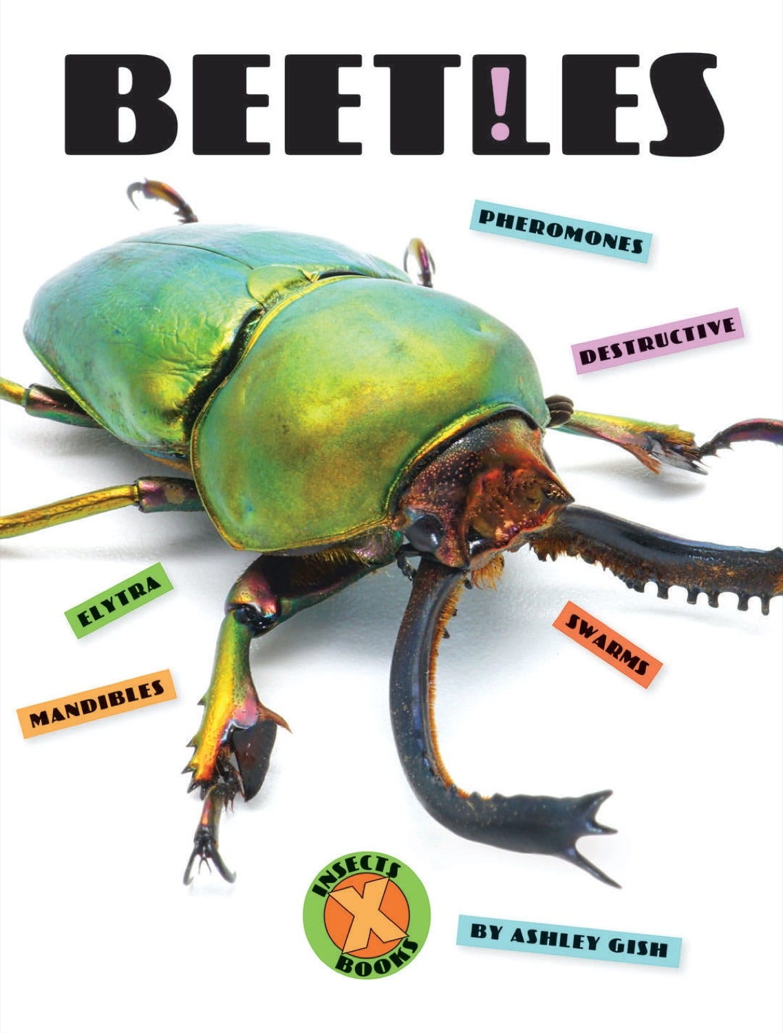 X-Books: Insects: Beetles by The Creative Company