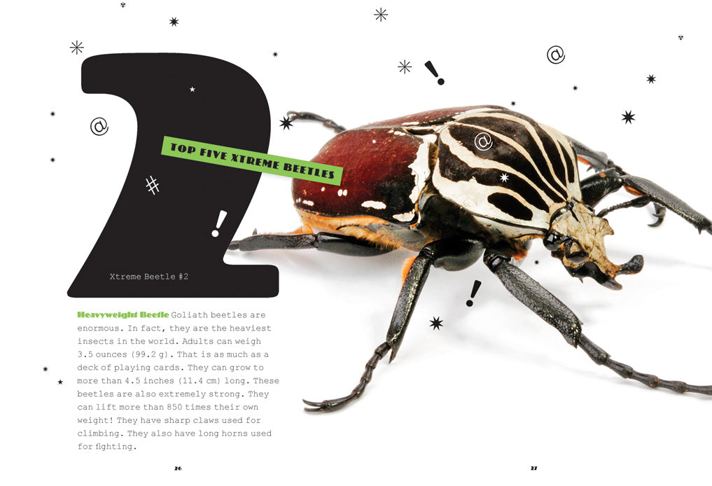 X-Books: Insects: Beetles by The Creative Company