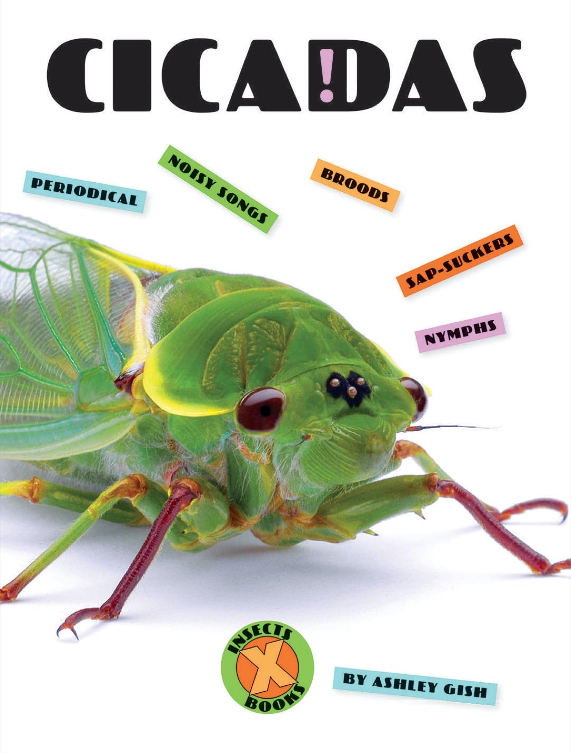 X-Books: Insects: Cicadas by The Creative Company