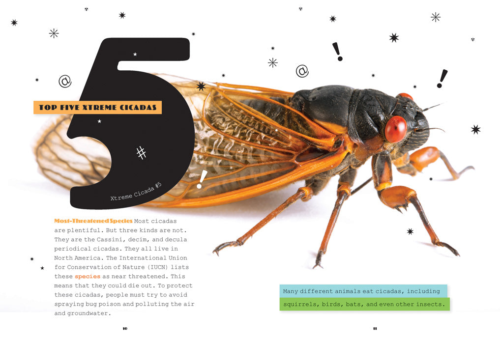 X-Books: Insects: Cicadas by The Creative Company