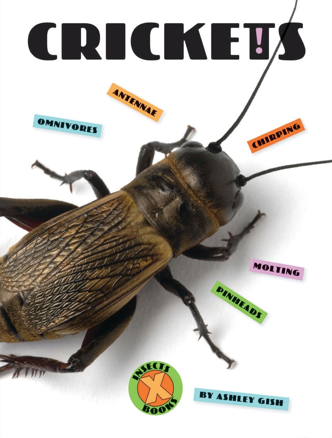 X-Books: Insects: Crickets by The Creative Company