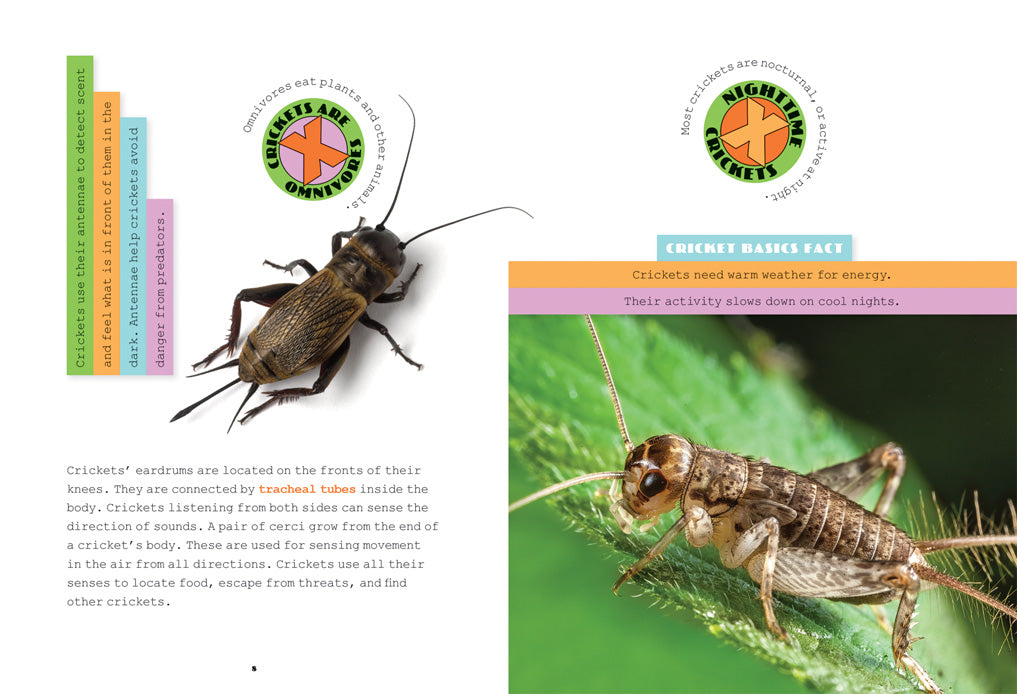 X-Books: Insects: Crickets by The Creative Company