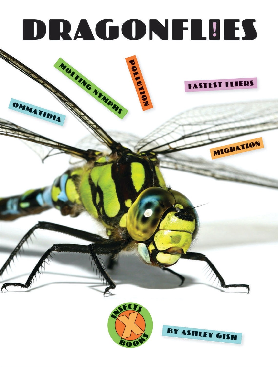 X-Books: Insects: Dragonflies by The Creative Company